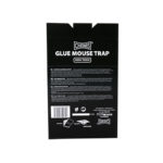 Glue-mouse-trap-house-kopia